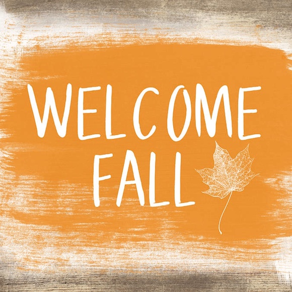 Reasonable offers welcome! Closet clean out - Picture 4 of 6